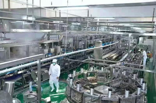 河南南街村豆腐生產線試運行 傳統產業煥新顏，新年運動經營雙輪驅動
